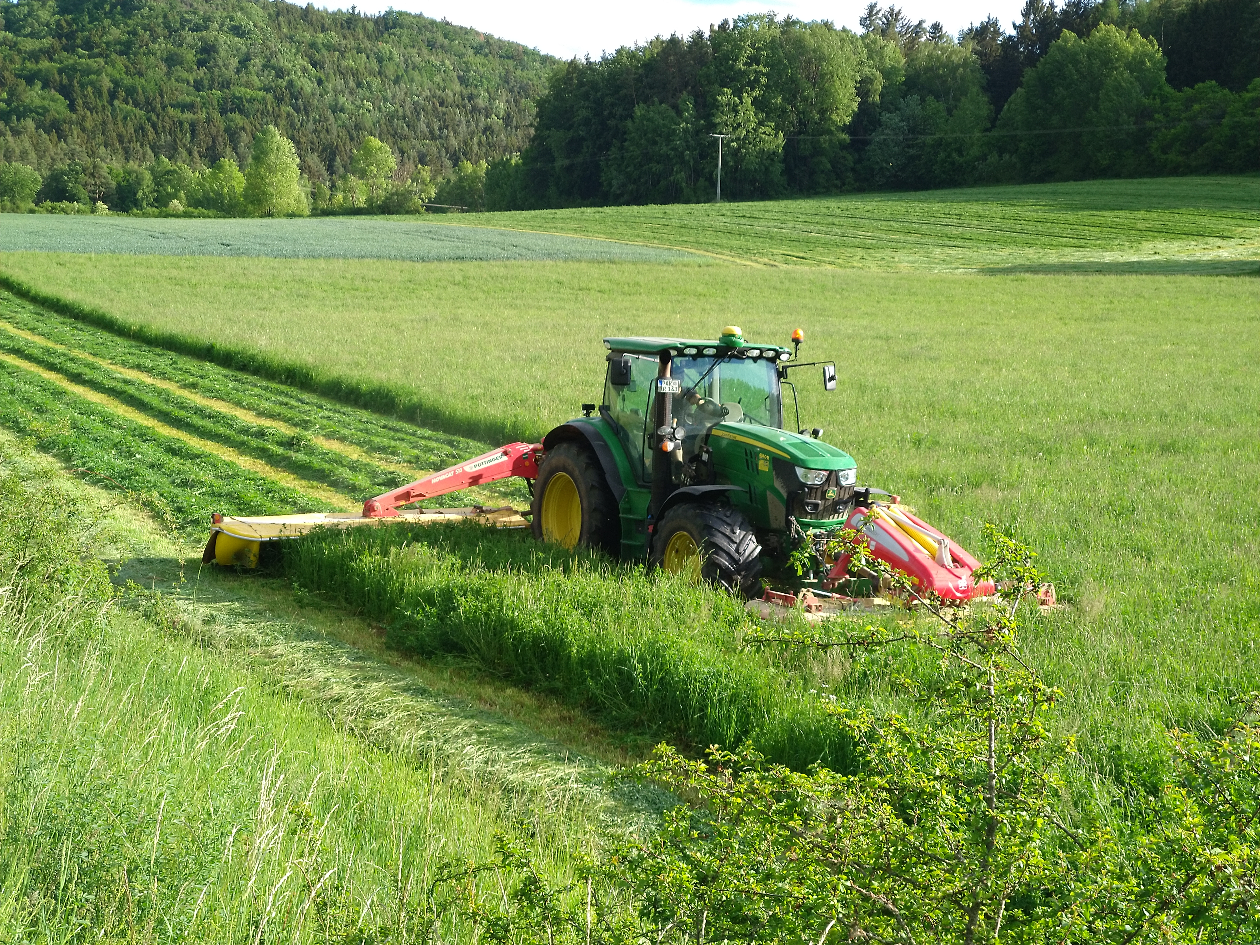... jetzt kann der Landwirt seine Wiese mähen. Die Rehkitze sind zu ihrer Sicherheit noch im Korb am Waldrand ... Image