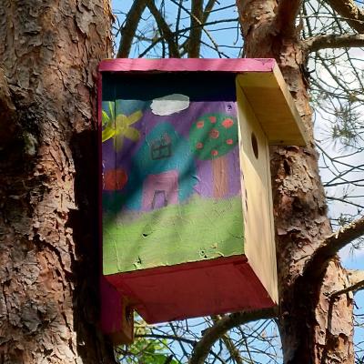13. Mai 2022: Bunte Nistkasten Aktion am Tag des Baumes in Hohenfels