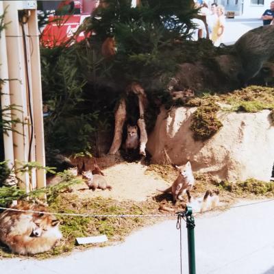 Bürgerfest in Hohenfels